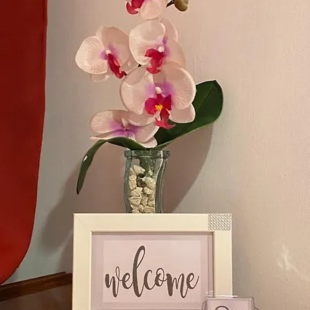 Quintino 住宿加早餐酒店